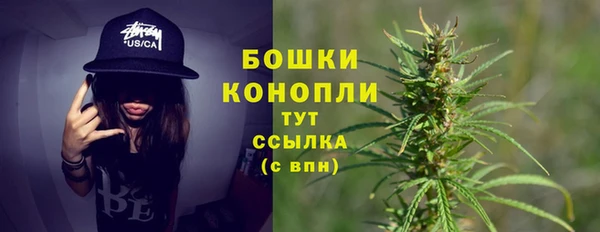 2c-b Верхний Тагил