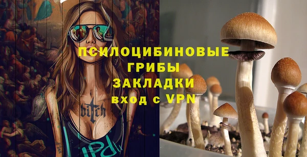 2c-b Верхний Тагил
