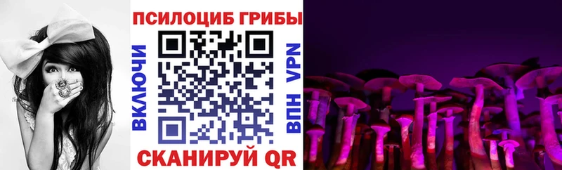 Купить закладки  Пестово  Псилоцибиновые грибы Cubensis 